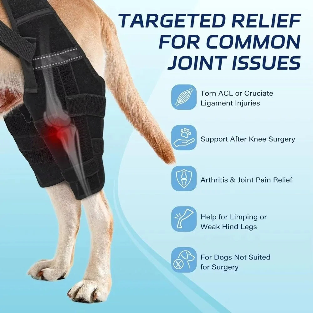 Adjustable Dog Knee Brace Breathable Comfortable Fit Elbow Protection Cover with 4 Stabilizers Black Pet Leg Support