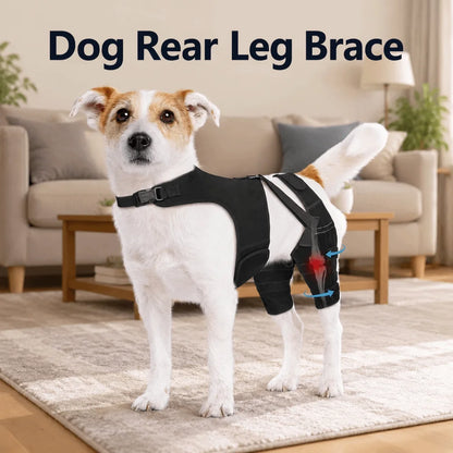 Adjustable Dog Knee Brace Breathable Comfortable Fit Elbow Protection Cover with 4 Stabilizers Black Pet Leg Support