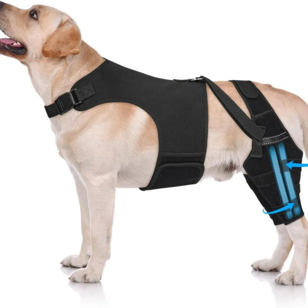 Adjustable Dog Knee Brace Breathable Comfortable Fit Elbow Protection Cover with 4 Stabilizers Black Pet Leg Support