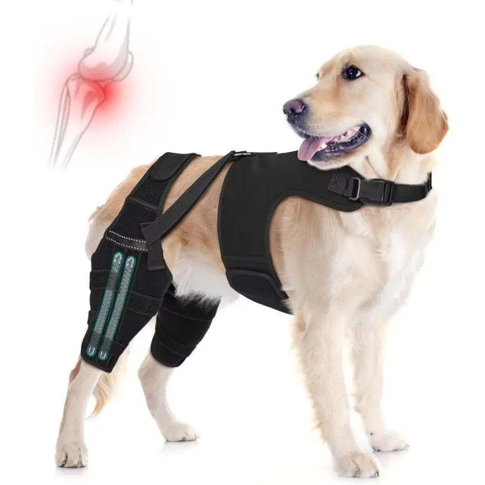 Adjustable Dog Knee Brace Breathable Comfortable Fit Elbow Protection Cover with 4 Stabilizers Black Pet Leg Support
